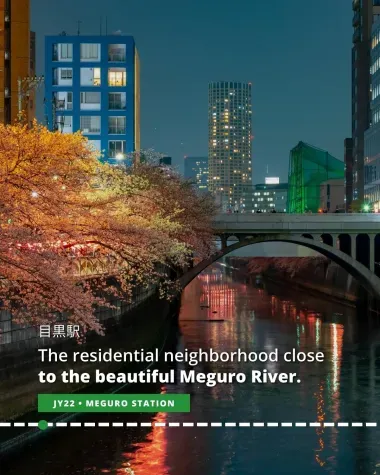 The beautifully landscaped banks of Meguro River