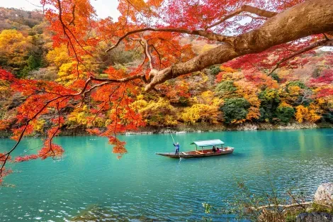 Fall leaves on Arashiyama river - Kyoto