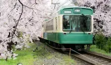 Imaginez que vous prenez le train avec les cerisiers en fleurs...