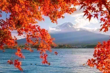 Besuchen Sie den Fuji im Herbst