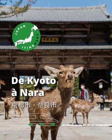 De Kyoto à Nara