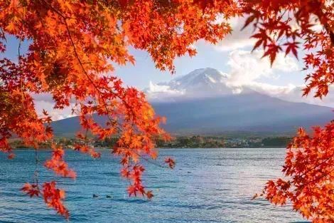Visita il Monte Fuji nella stagione autunnale