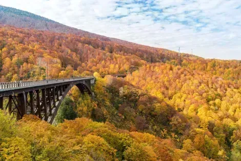 Ponte tra la foresta durante la stagione autunnale, prefettura di Aomori
