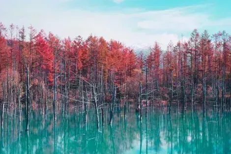 Blauer Teich in Hokkaido