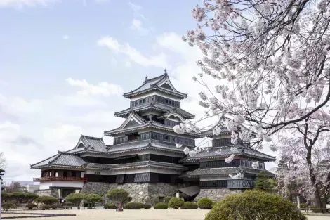 Città di Matsumoto e al centro il castello dei corvi e il suo parco 