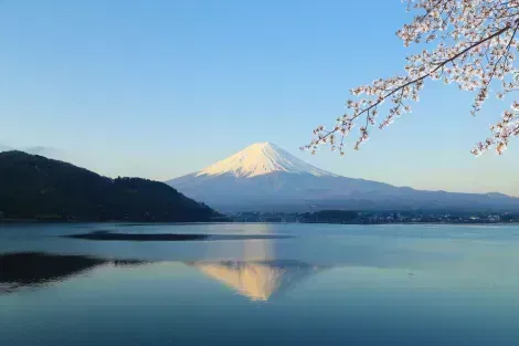 Mount Fuji während der Kirschblüte (Sakura)