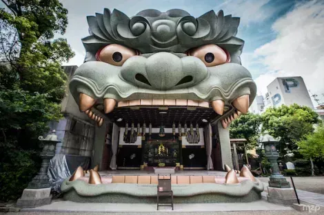 Il santuario dei leoni di Osaka, fuori dai sentieri battuti