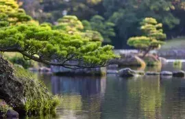 Japanische Landschaft auf der Insel Kyushu in Japan, nahe Kumamoto