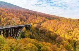 Ponte tra la foresta durante la stagione autunnale, prefettura di Aomori