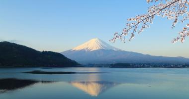 Mount Fuji during cherry blossom (Sakura)
