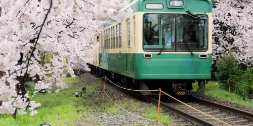 ... Or many other trains and buses all over Japan!